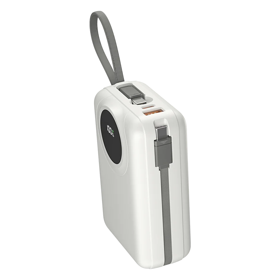 Ronin Megawatt R-4055 30,000mAh Power Bank