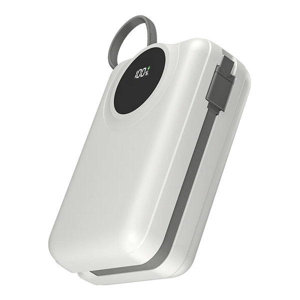 Ronin Megawatt R-4055 30,000mAh Power Bank
