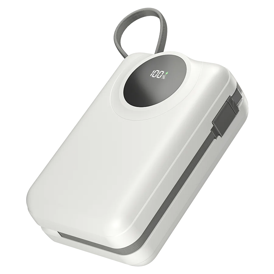 Ronin Megawatt R-4055 30,000mAh Power Bank