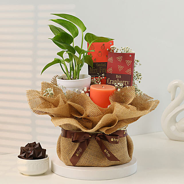 Jasmine Whispers and Chocolate Dreams Hamper