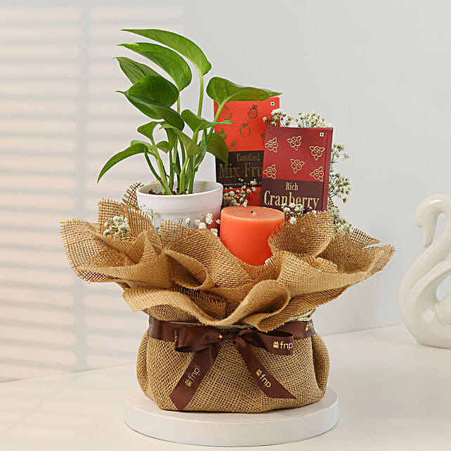 Jasmine Whispers and Chocolate Dreams Hamper Secondary image